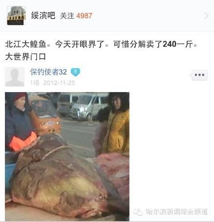 哈尔滨万元吃鱼：剧情大逆转了？真相究竟是什么？