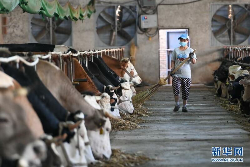 An kyautata sha’anin kiwon dabbobi da fasahohin zamani a gundumar Yining ta jihar Xinjiang_fororder_3