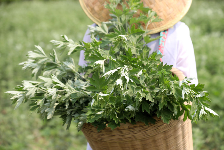 Yurtsever bir şaire saygı: Duanwu Festivali (端午节)_fororder_VCG111334496720