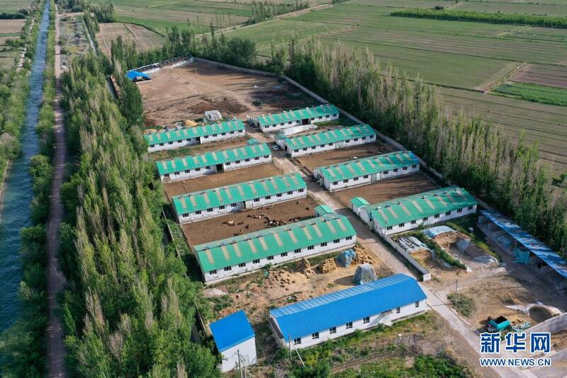 An kyautata sha’anin kiwon dabbobi da fasahohin zamani a gundumar Yining ta jihar Xinjiang_fororder_5