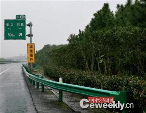 苏荣造林大跃进:数百亿工程让田里种树岭上长草
