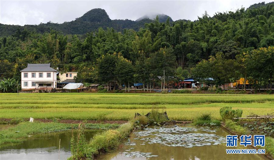 雲南普洱堅持“生態立市” 森林覆蓋率升至68.8%