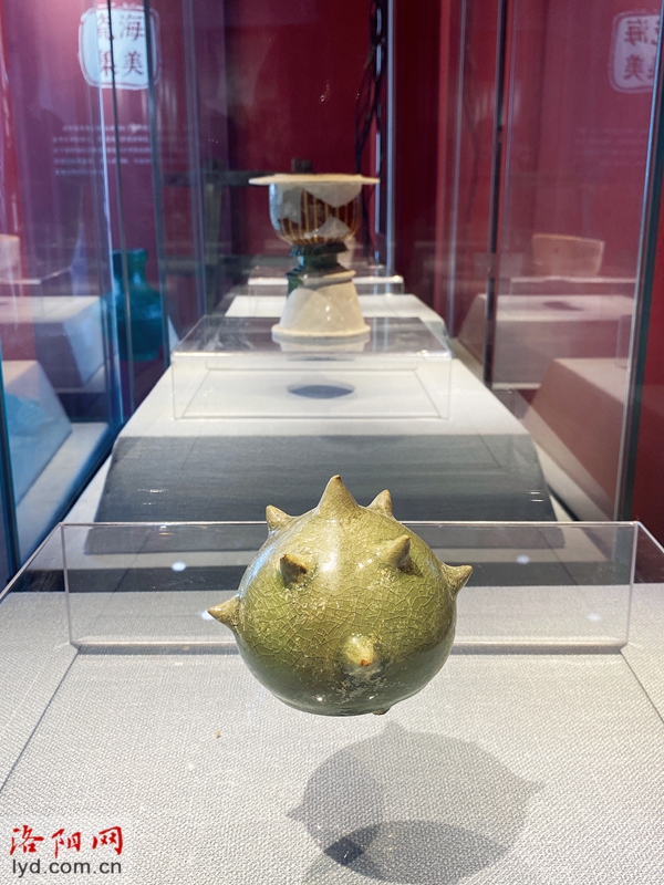 洛阳古瓷标本博物馆：拾出来的博物馆