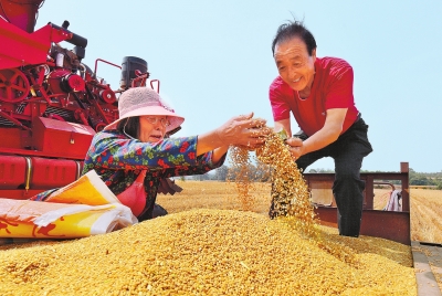 藏粮于技开新境——“看麦收话重任”系列观察之四