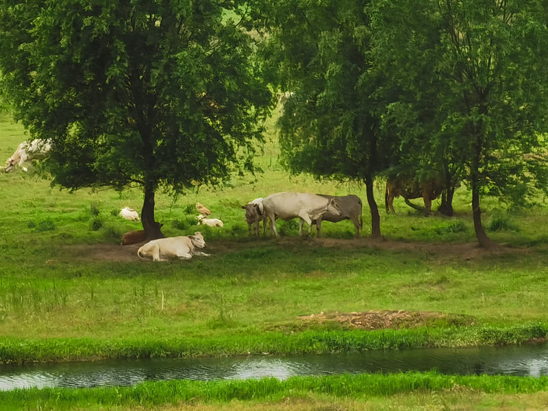 从“痛点”到“名片” 平顶山鲁山新沙河扮靓一座城