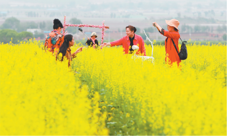 朝陽：油菜花開迎客來_fororder_1622770756