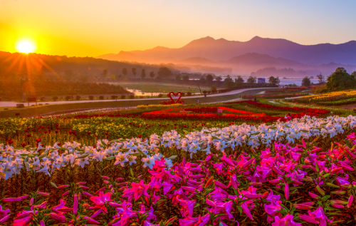 与众不同（铜） 灵（陵）秀天下 铜陵市主题宣传推广活动正式启动_fororder_1622715264404796