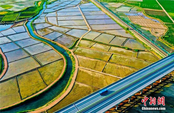 Sawah Padi Bak Lukisan Cat_fororder_dao3