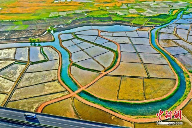 Sawah Padi Bak Lukisan Cat_fororder_dao2