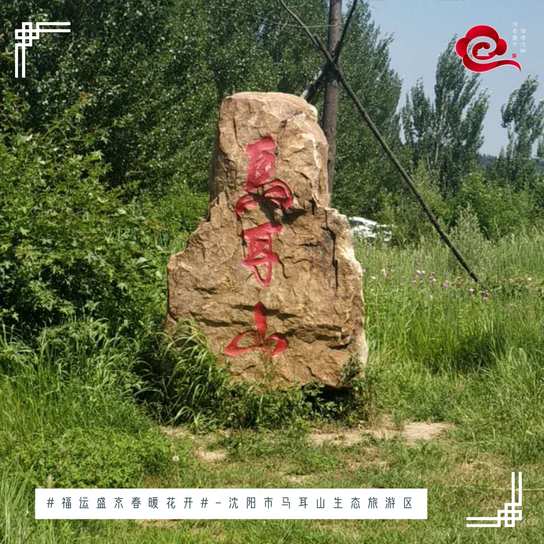 春季嗨玩沈阳苏家屯：运动竞技 热力无限