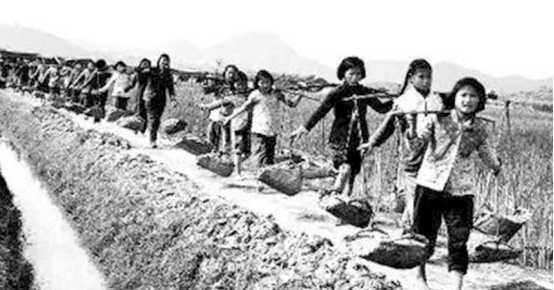 中国乳业探路者 南山奶粉60年老品牌历久弥新 中国乳业探路者 南山奶粉60年老品牌历久弥新