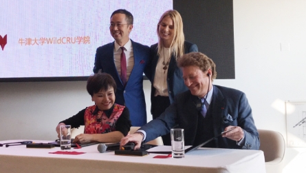 巧女基金会与Panthera联手 开启全球大猫保护新时代 巧女基金会与Panthera联手 开启全球大猫保护新时代