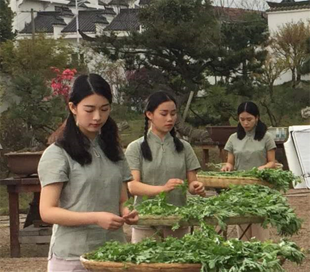 【湖北】【客户稿件】黄冈市蕲春县“四全”模式推动蕲艾产业健康发展