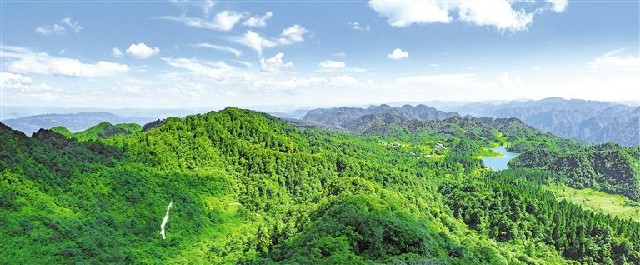 （中首）贵州林业： 健全保护体系 增添绿色“动力”_fororder_林业1