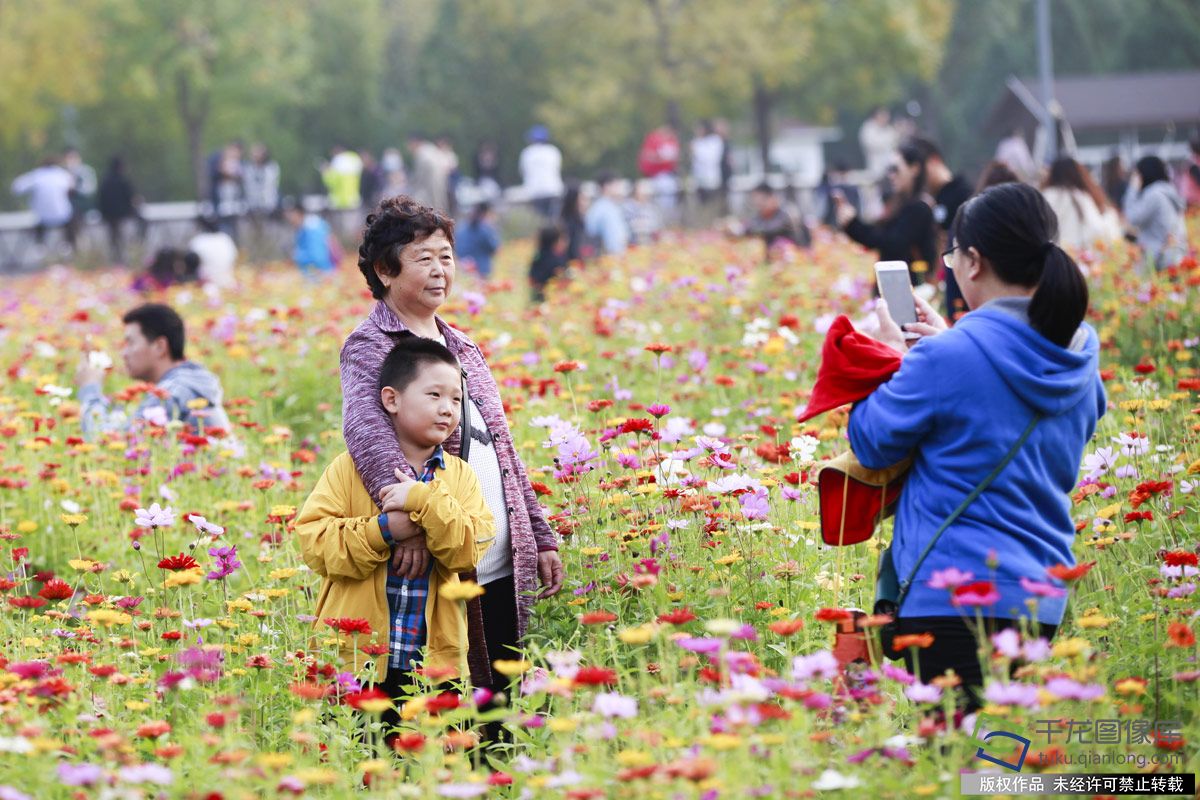 北京奥森公园百亩花海“代言”秋天童话