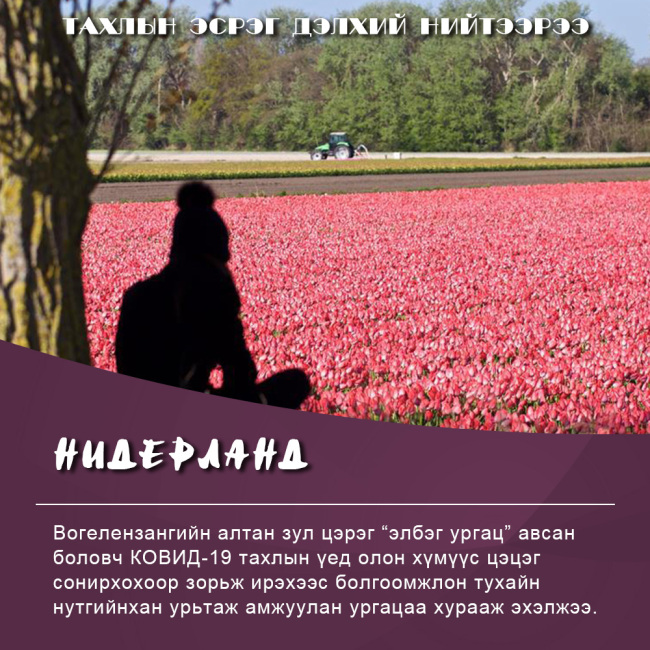 Тахлын эсрэг дэлхий нийтээрээ-0416