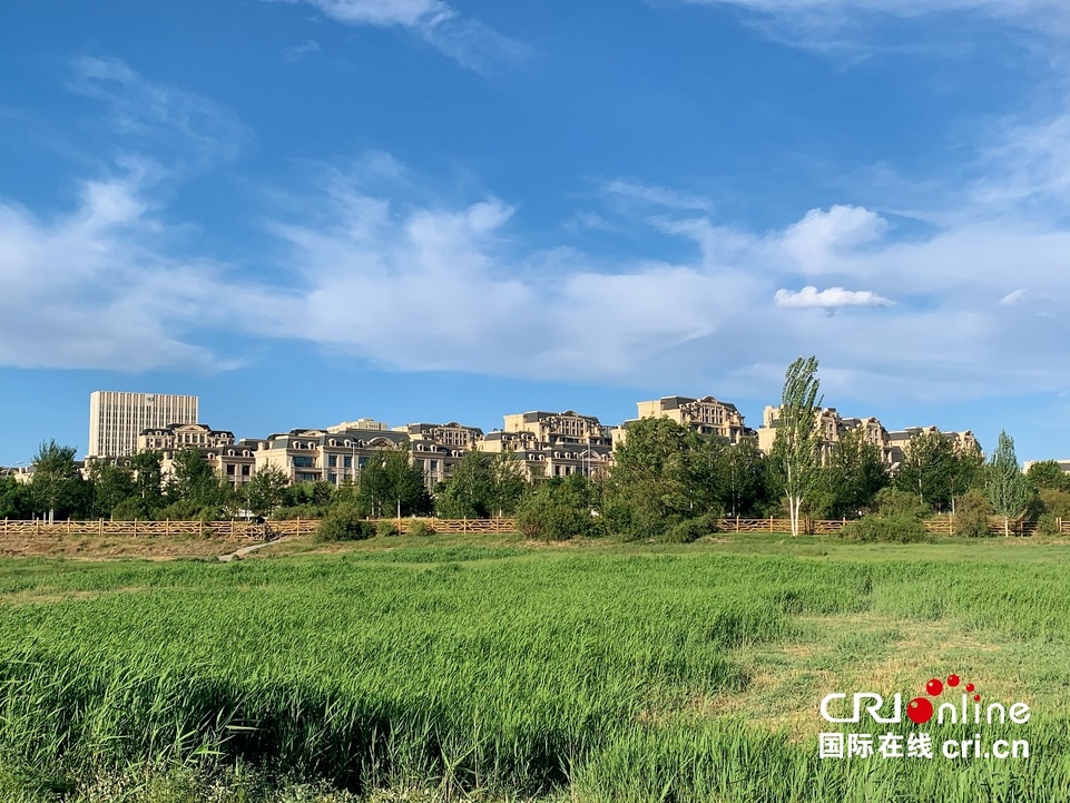 【大国小鲜@新发展理念】赛汗塔拉,城市中心的美丽草原