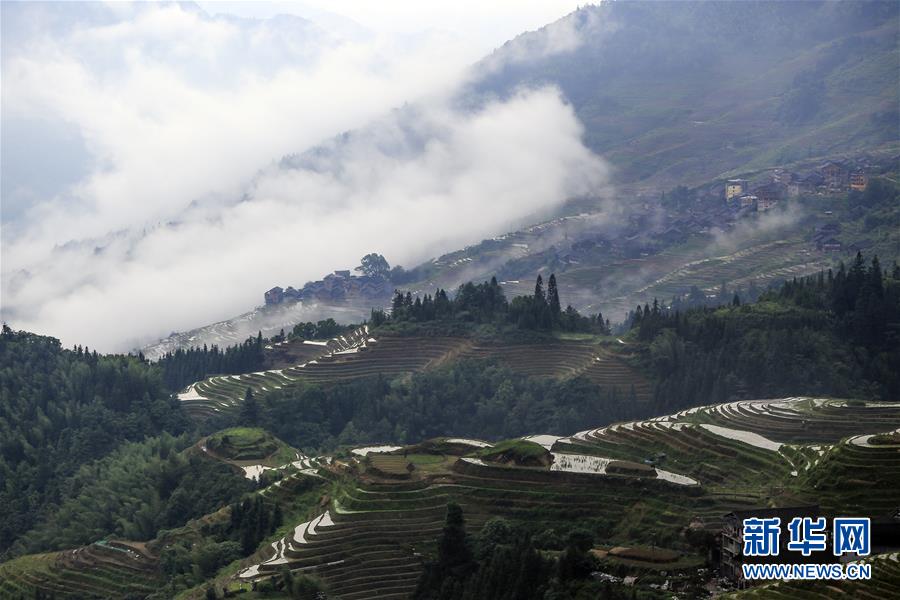 广西龙脊：雨后梯田如仙境