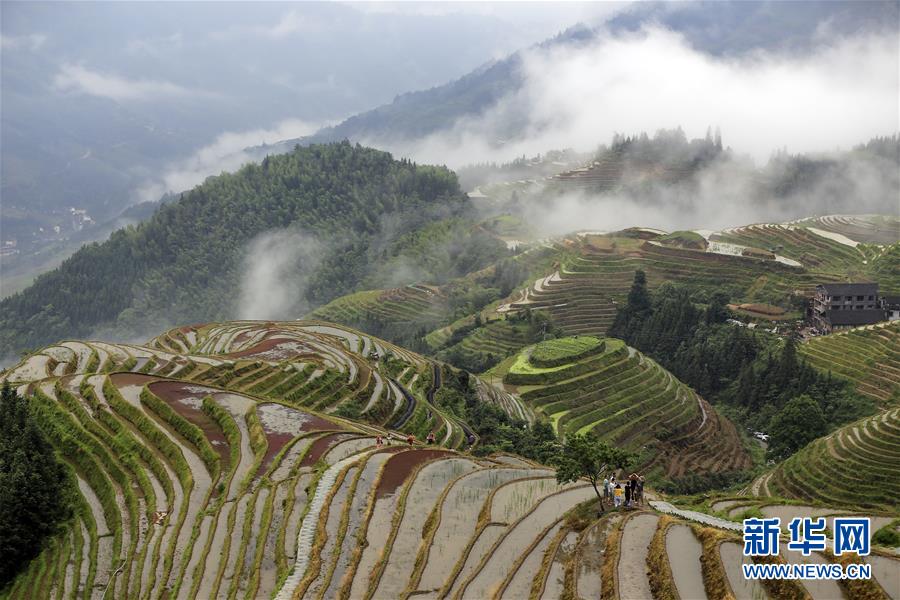 广西龙脊：雨后梯田如仙境