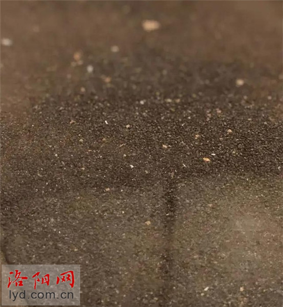 洛阳含嘉仓的粟亮相扬州中国大运河博物馆