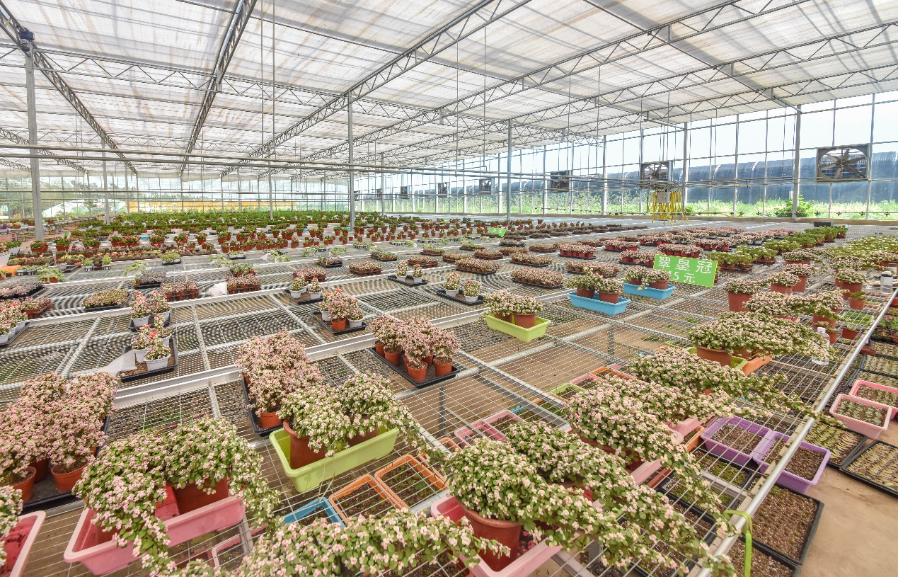 （原创）【网络媒体革命老区行】邢台临城县：擦亮生态名片_fororder_2