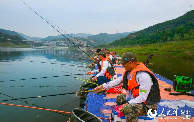 湖北竹溪：700余職業釣手齊聚楠木湖競技