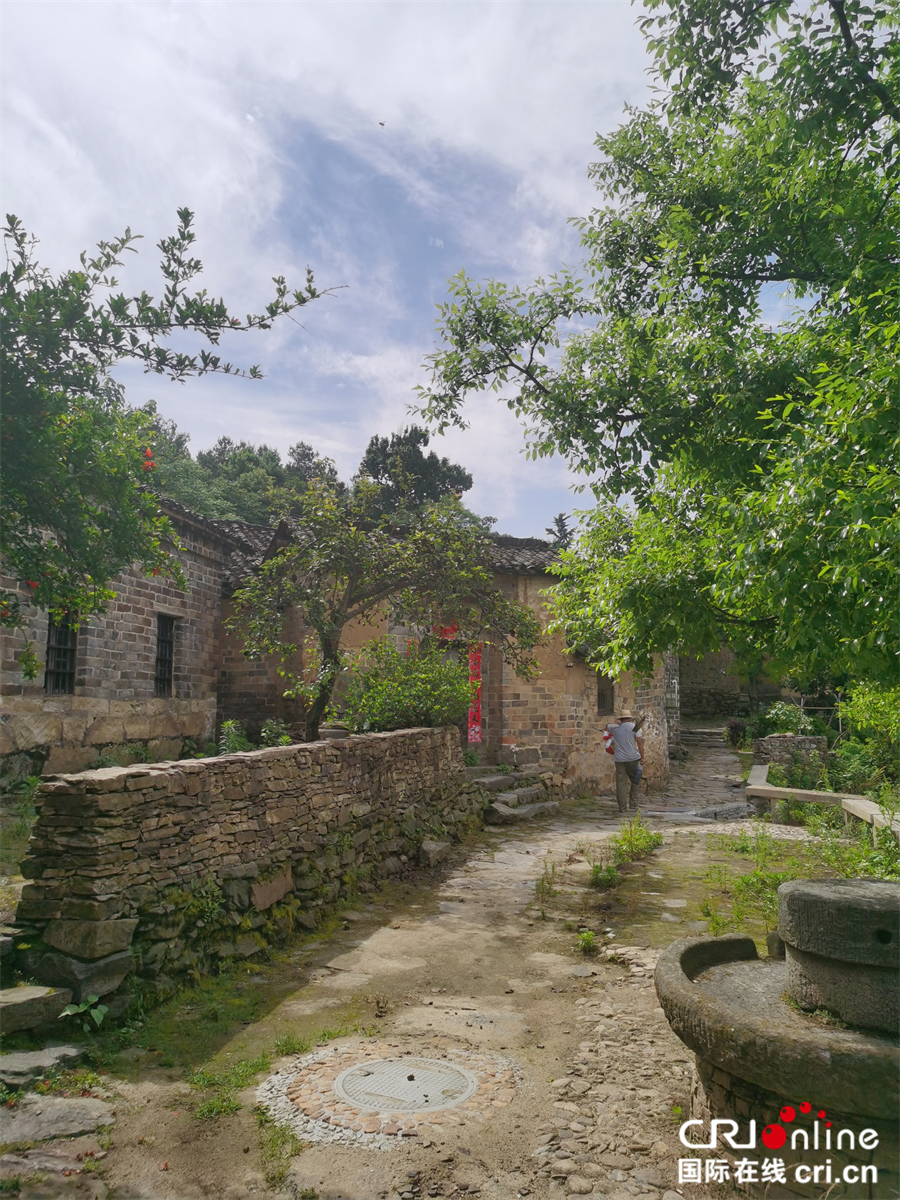 麻城森林乡村美如画_fororder_微信图片_20210608092620