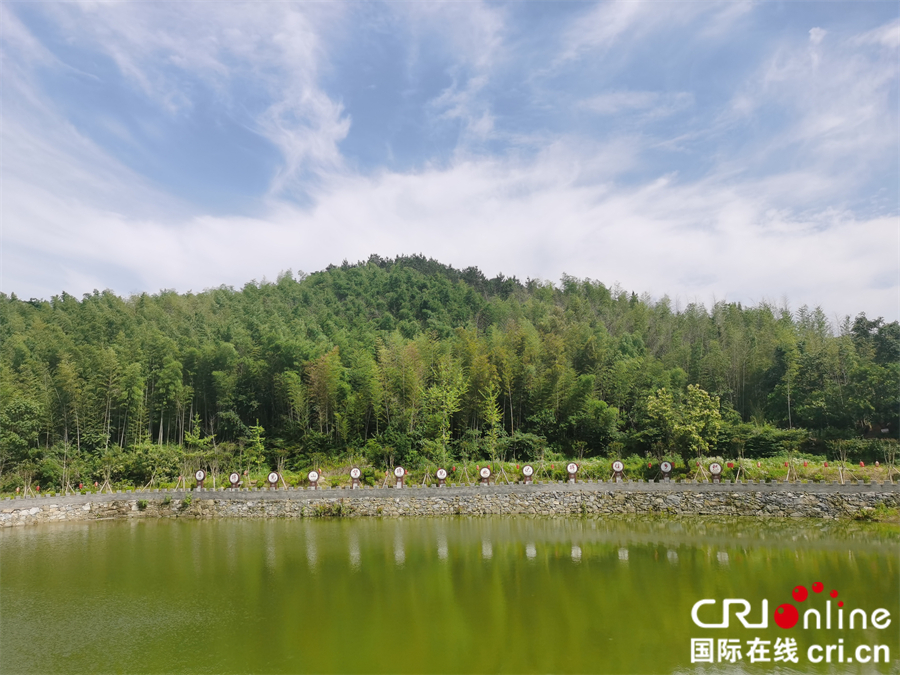 麻城森林乡村美如画_fororder_微信图片_20210608094935