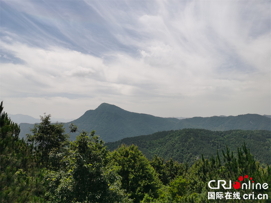 麻城森林乡村美如画_fororder_微信图片_20210608092736