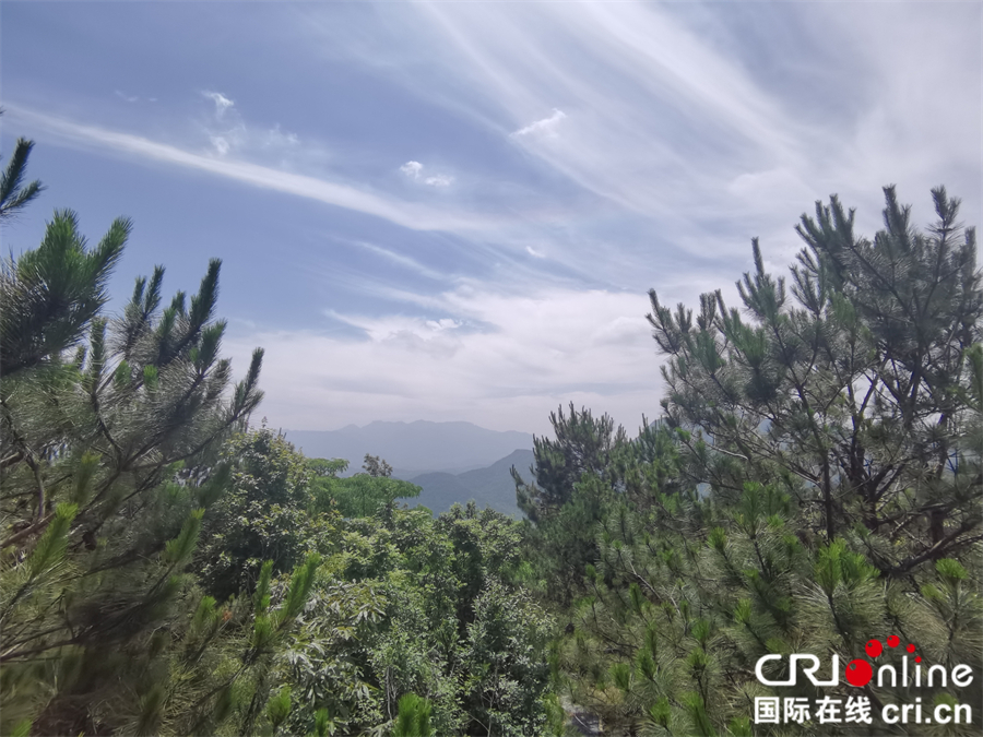 麻城森林乡村美如画_fororder_微信图片_20210608092722