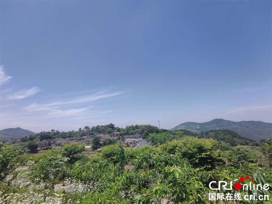 麻城森林乡村美如画_fororder_微信图片_20210608095032