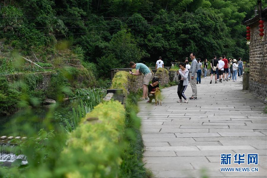 浙江桐庐：“深闺”山村打造创意慢生活