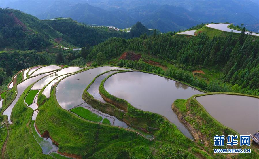 广西融水：雨后苗山插秧忙