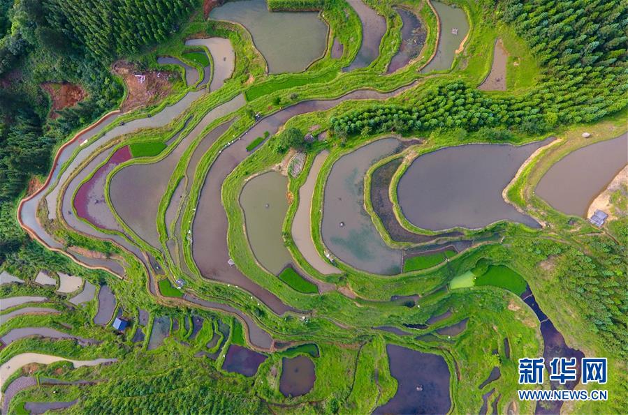 广西融水：雨后苗山插秧忙