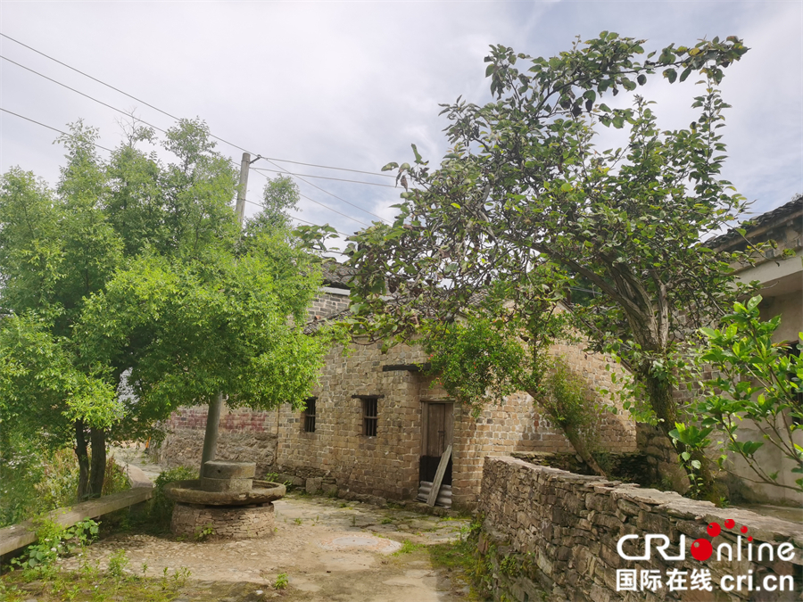 麻城森林乡村美如画_fororder_微信图片_20210608092636