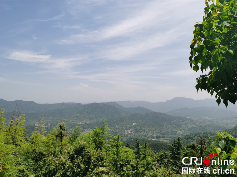 麻城森林乡村美如画_fororder_微信图片_20210608092743