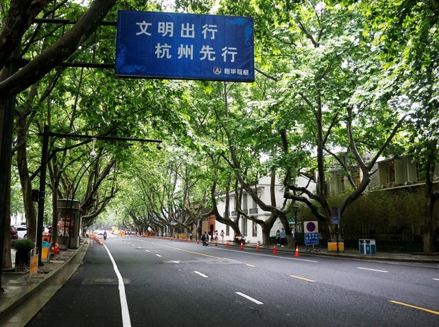 秋天的礼物 杭州这15条道路不扫落叶