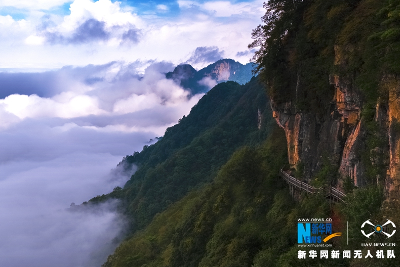 無人機之旅|神農架雲海動靜皆美 愛上“地球之肺”的航拍在這兒