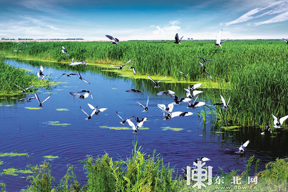 為“火爐城市”打造“避暑套餐” 黑龍江赴鄂湘渝推介夏季旅遊