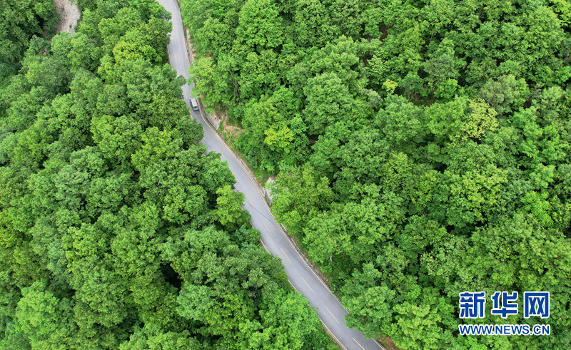 湖北保康：官山旅遊路盤出大山致富路