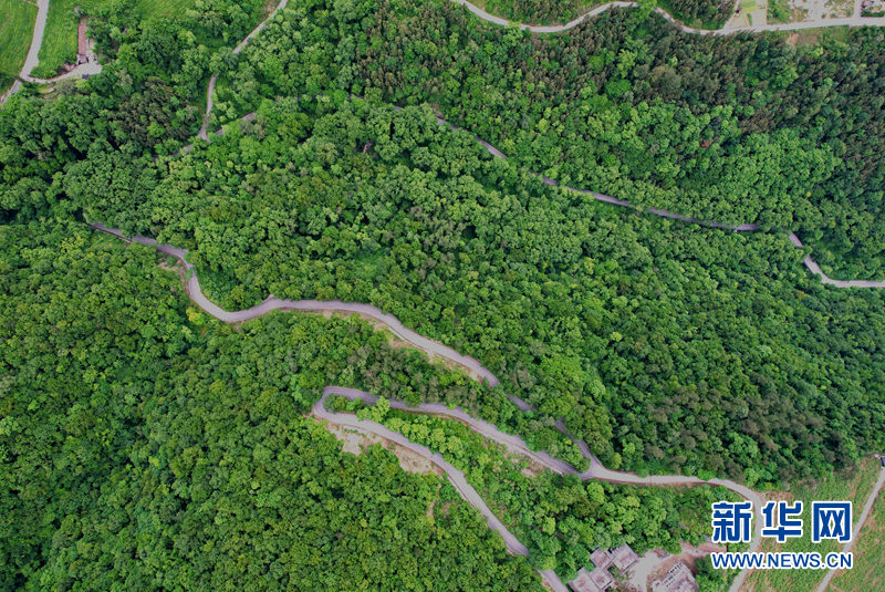 湖北保康：官山旅游路盘出大山致富路