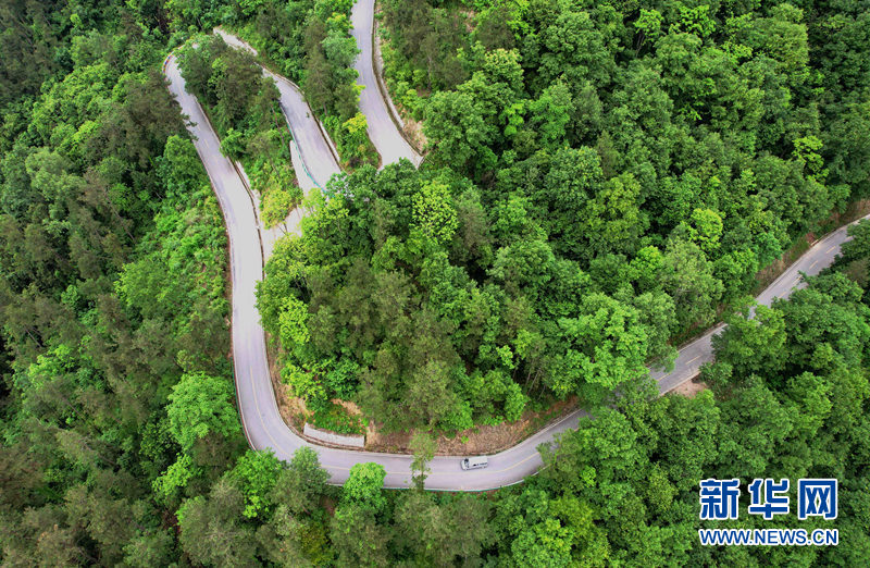 湖北保康：官山旅遊路盤出大山致富路