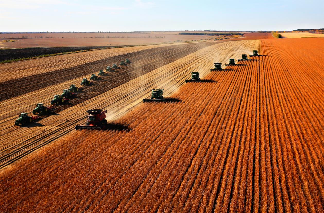 黑龙江省庆祝建党百年重点活动之一“百年辉煌与梦想”优秀美术书法摄影作品展10日开展