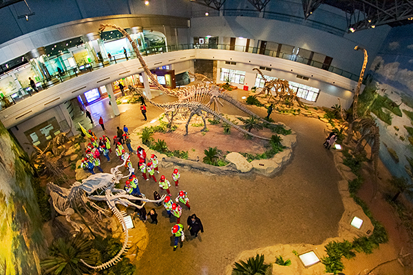 魅力盐都·安逸灯城|观彩灯、看恐龙、品美食 端午快来自贡狂欢吧_fororder_3自贡恐龙博物馆（摄影-廖志全）