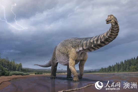 确认14年前发现的恐龙化石为新物种及澳大利亚最大恐龙