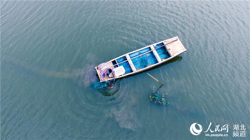 湖北小龙虾成“网红”美食网上热销