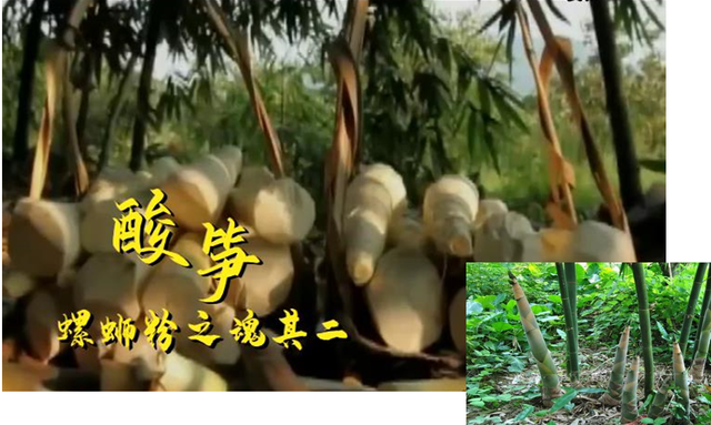 大国匠心节目:要不要来一份“嘻螺会”螺蛳粉