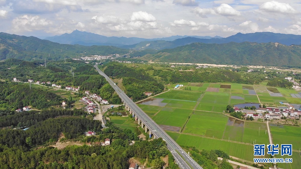 沿着高速看中国丨穿越大别山的致富路