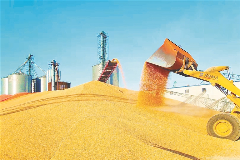 黑龙江：千亿级玉米加工产业大招商