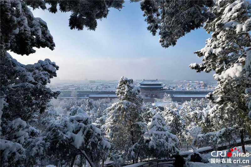 希腊大V乔治：希望通过镜头让更多人看到充满惊喜的北京_fororder_图片5_副本